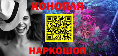 стаф Сланцы