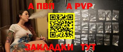 стаф Сланцы